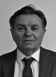 Mauro Cavazzoli